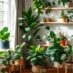 Jak harmonijnie ustawić rośliny we wnętrzu: zasady kompozycji, wyboru miejsc i ekspozycji